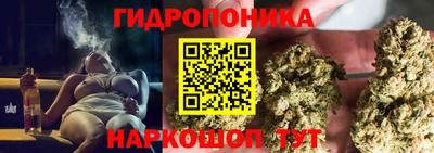 мескалин Камышлов