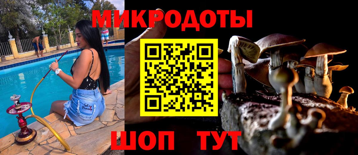 Галлюциногенные грибы Magic Shrooms  Вход с VPN  купить закладку  Курчатов 